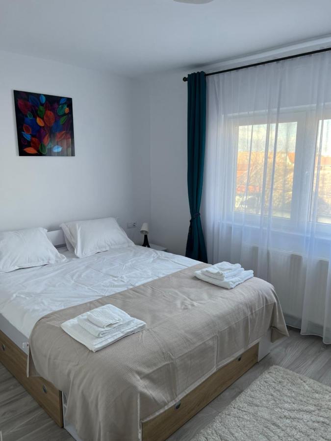 Cozy Residence Sibiu Dış mekan fotoğraf