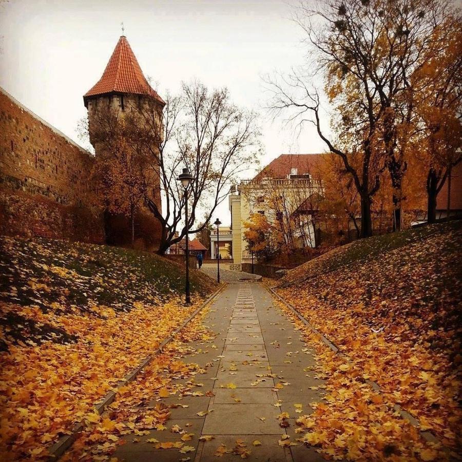 Cozy Residence Sibiu Dış mekan fotoğraf