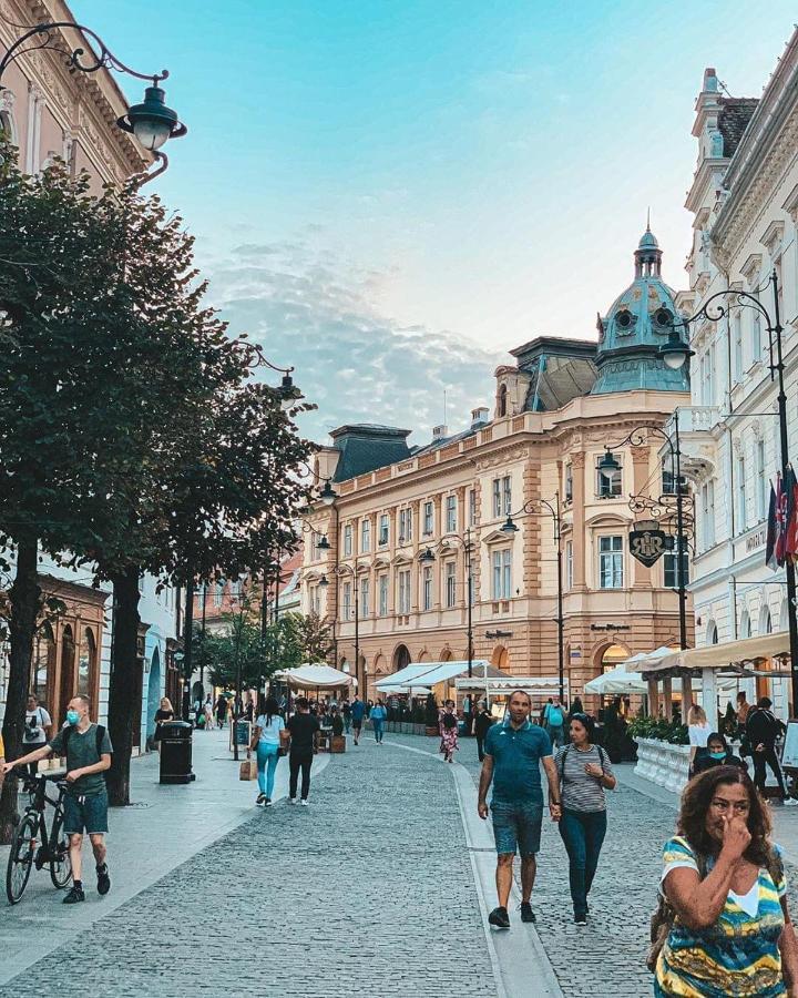 Cozy Residence Sibiu Dış mekan fotoğraf